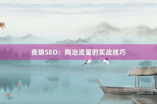 夜狼SEO：陶冶流量的实战技巧