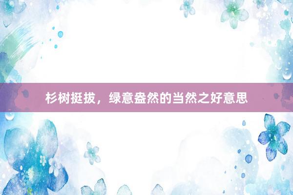 杉树挺拔，绿意盎然的当然之好意思