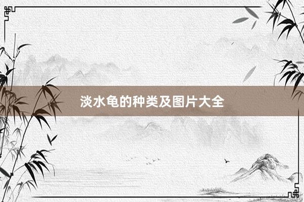 淡水龟的种类及图片大全