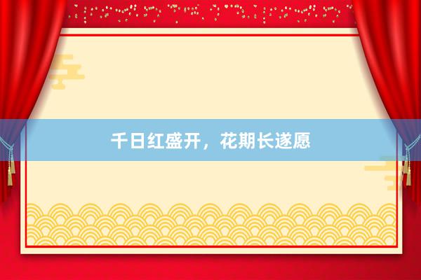 千日红盛开，花期长遂愿